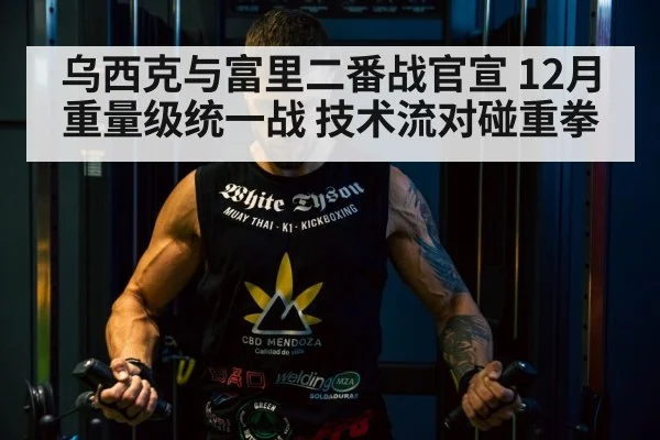 乌西克与富里二番战官宣 12月重量级统一战 技术流对碰重拳